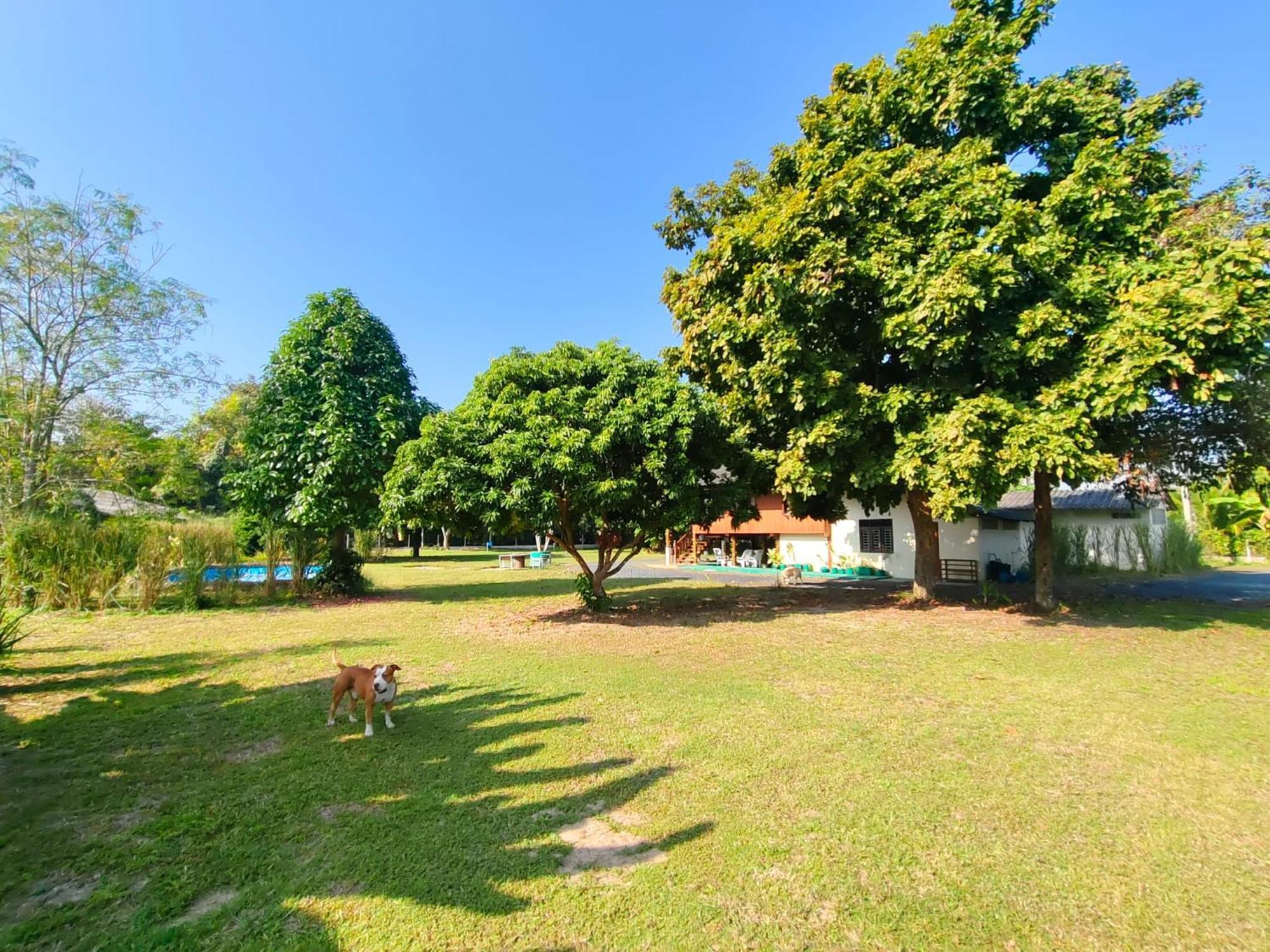 Regal Eagle Golf-centric Thai House And Garden Holiday home